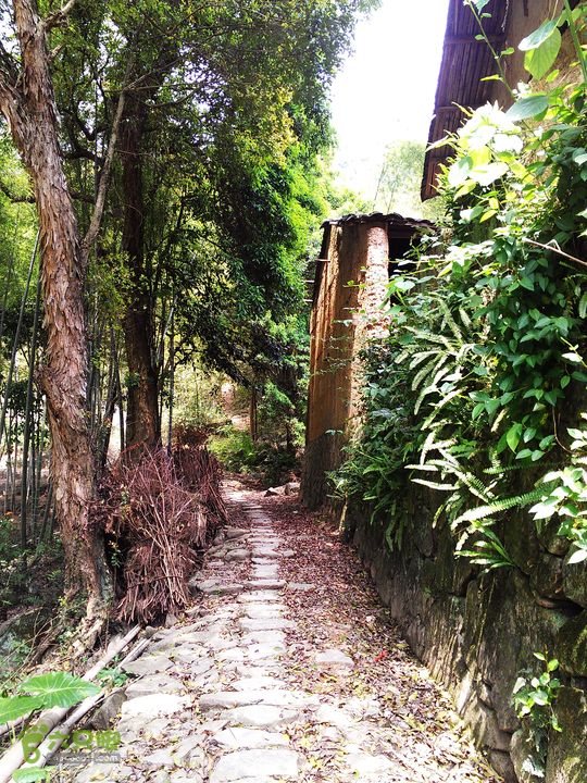 访廉村古村、走廉岭古道IMAG8270