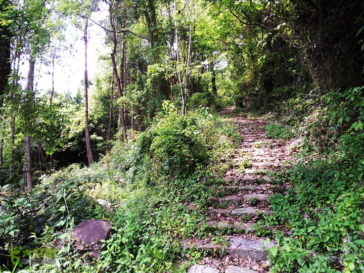 访廉村古村、走廉岭古道IMAG8273