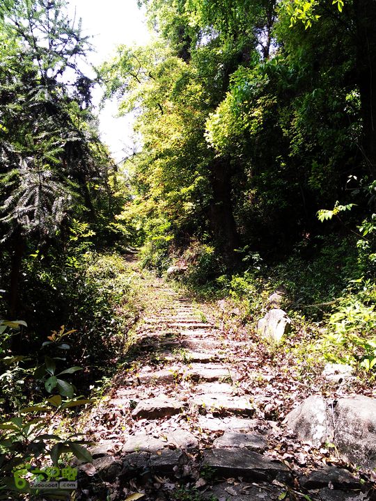 访廉村古村、走廉岭古道IMAG8275