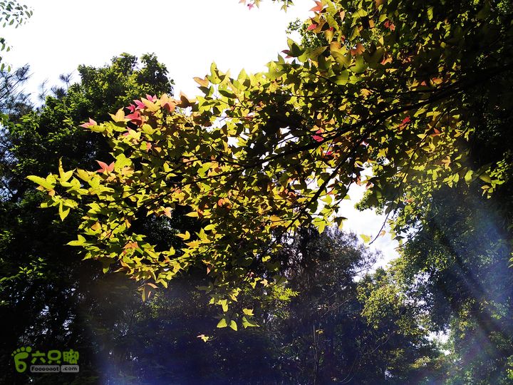 访廉村古村、走廉岭古道IMAG8278