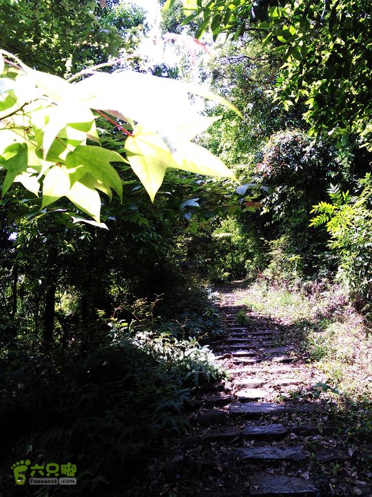 访廉村古村、走廉岭古道IMAG8281