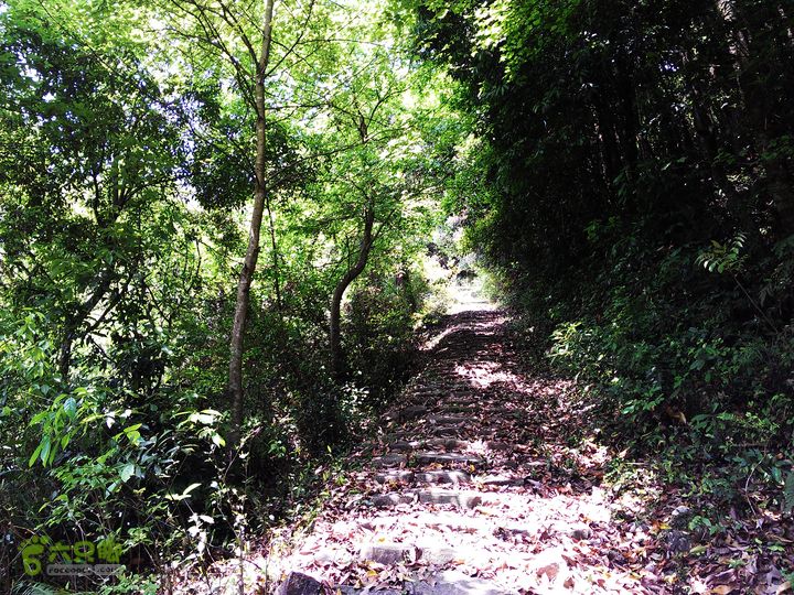 访廉村古村、走廉岭古道IMAG8284