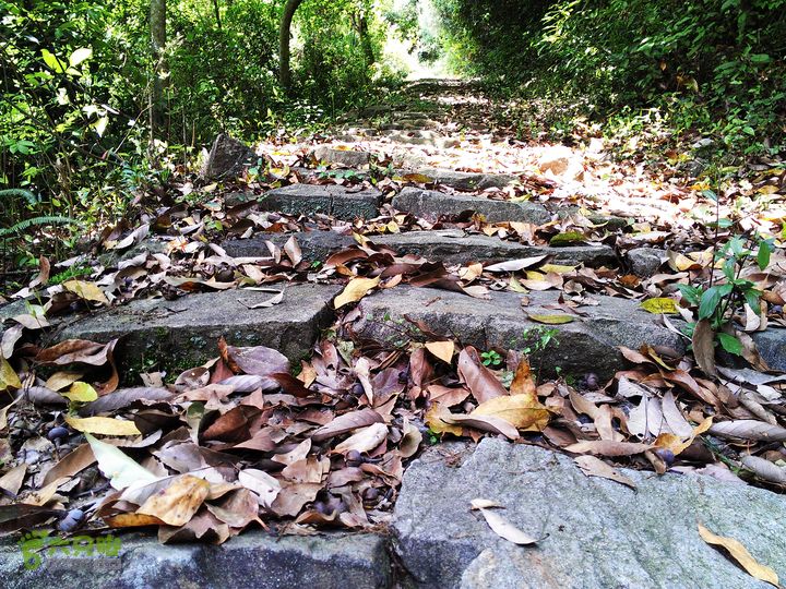 访廉村古村、走廉岭古道IMAG8285