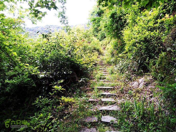 访廉村古村、走廉岭古道IMAG8293