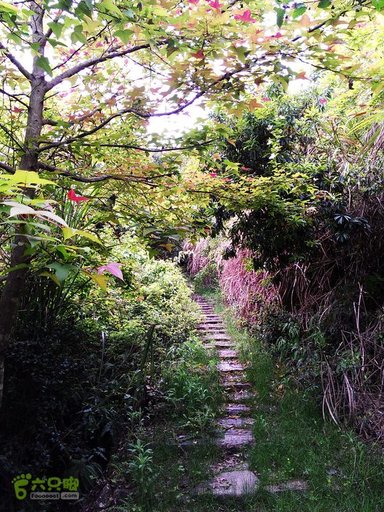 访廉村古村、走廉岭古道IMAG8297