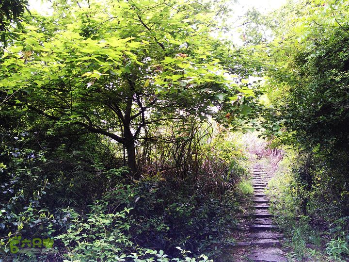 访廉村古村、走廉岭古道IMAG8300