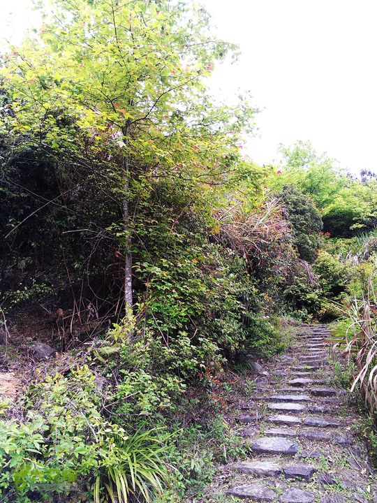 访廉村古村、走廉岭古道IMAG8301