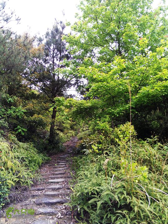 访廉村古村、走廉岭古道IMAG8304