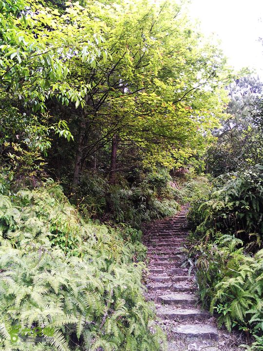 访廉村古村、走廉岭古道IMAG8306