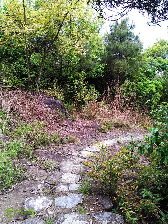 访廉村古村、走廉岭古道IMAG8309