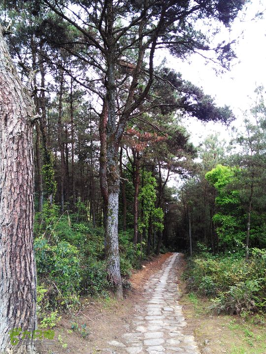 访廉村古村、走廉岭古道IMAG8319