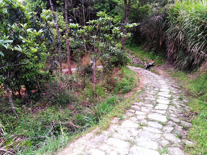 访廉村古村、走廉岭古道IMAG8325