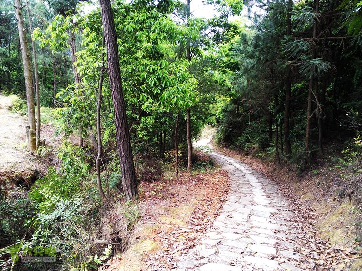 访廉村古村、走廉岭古道IMAG8326