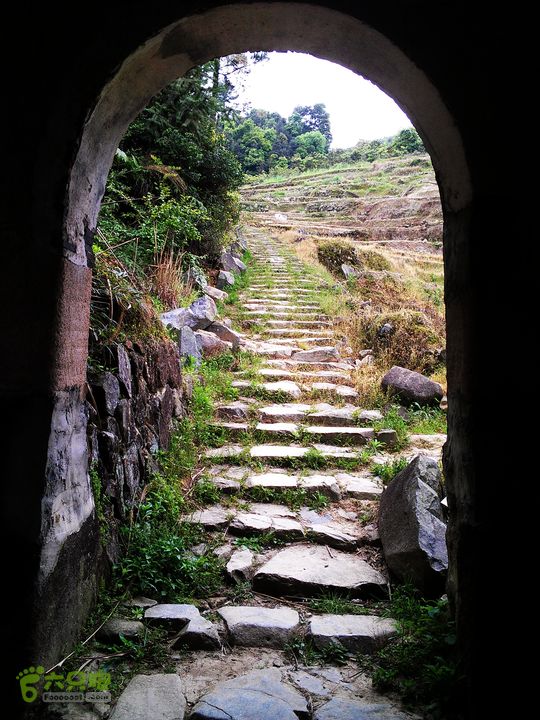 访廉村古村、走廉岭古道IMAG8342