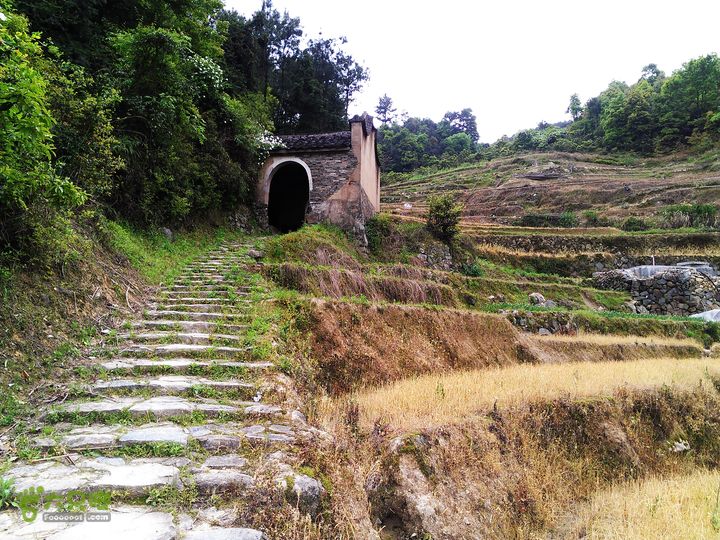 访廉村古村、走廉岭古道IMAG8347