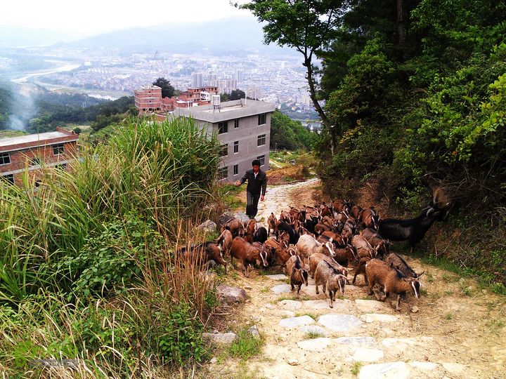 访廉村古村、走廉岭古道IMAG8348