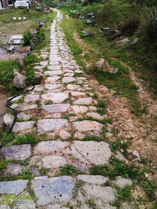 访廉村古村、走廉岭古道IMAG8355