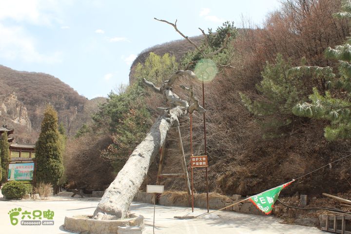 盂县藏山逃票路线IMG_8649