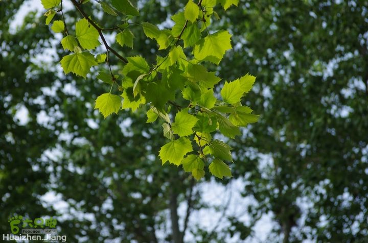 东城区骑行东城区骑行0050