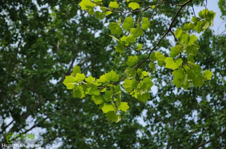 东城区骑行东城区骑行0051