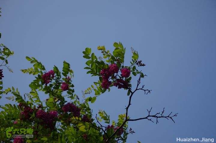 东城区骑行东城区骑行0053