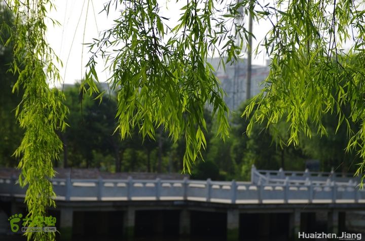东城区骑行东城区骑行0054
