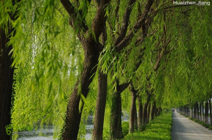 东城区骑行东城区骑行0055