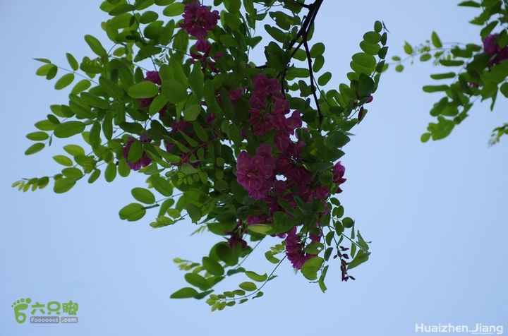 东城区骑行东城区骑行0056