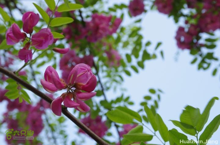 东城区骑行东城区骑行0057
