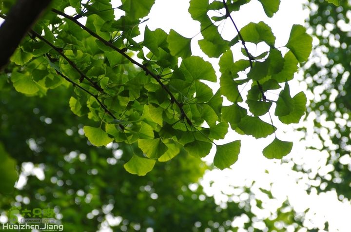 东城区骑行东城区骑行0058