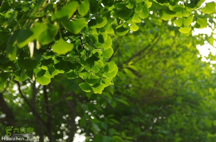 东城区骑行东城区骑行0059