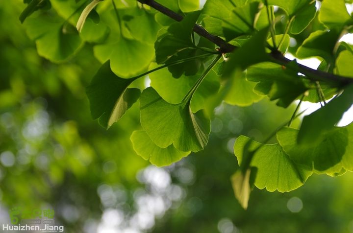 东城区骑行东城区骑行0060