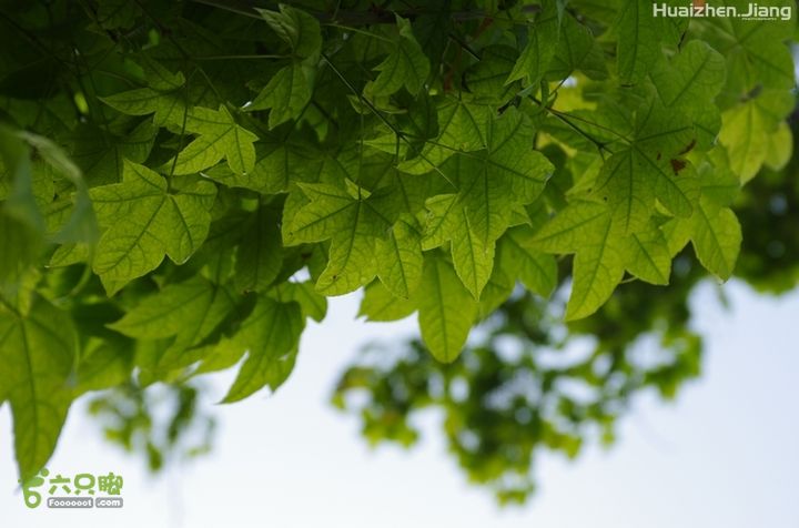 东城区骑行东城区骑行0061