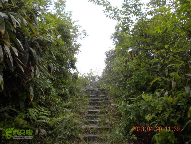 徽开古道（岭上-白际-严池-泰夏）徒步航迹SCN3572