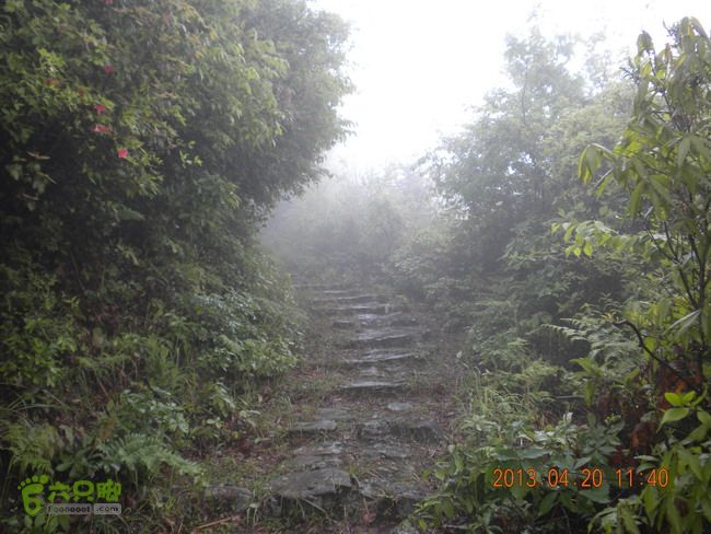 徽开古道（岭上-白际-严池-泰夏）徒步航迹SCN3574