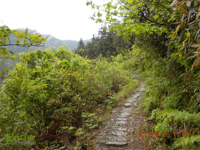 徽开古道（岭上-白际-严池-泰夏）徒步航迹SCN3579