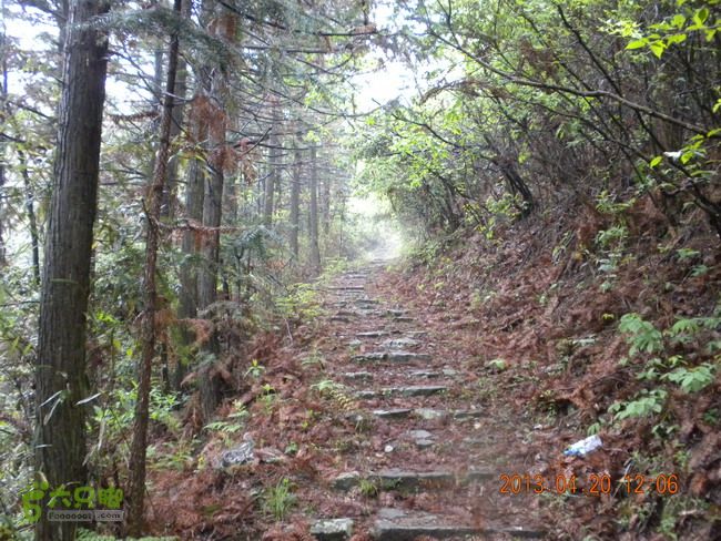 徽开古道（岭上-白际-严池-泰夏）徒步航迹SCN3585