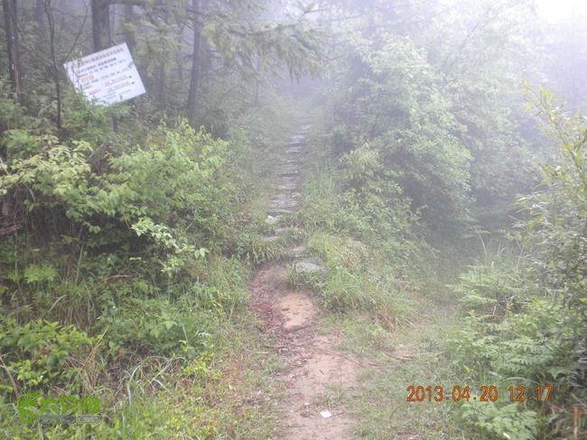 徽开古道（岭上-白际-严池-泰夏）徒步航迹SCN3590