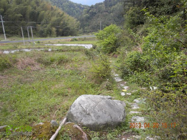 徽开古道（岭上-白际-严池-泰夏）徒步航迹SCN3617