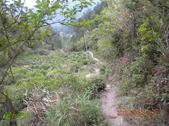 徽开古道（岭上-白际-严池-泰夏）徒步航迹SCN3623