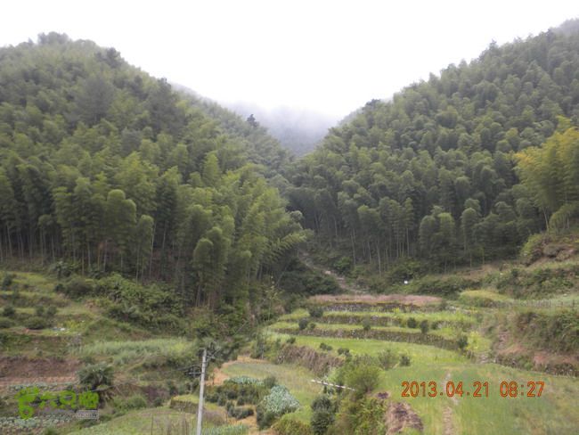 徽开古道（岭上-白际-严池-泰夏）徒步航迹SCN3632