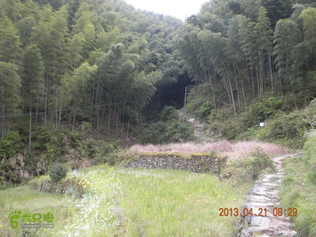 徽开古道（岭上-白际-严池-泰夏）徒步航迹SCN3634