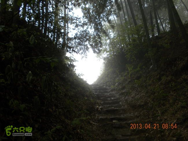 徽开古道（岭上-白际-严池-泰夏）徒步航迹SCN3639