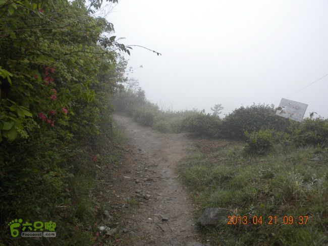 徽开古道（岭上-白际-严池-泰夏）徒步航迹SCN3641