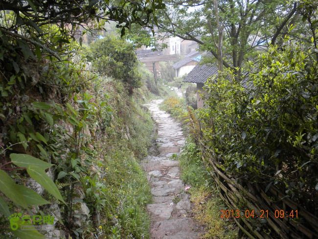 徽开古道（岭上-白际-严池-泰夏）徒步航迹SCN3642
