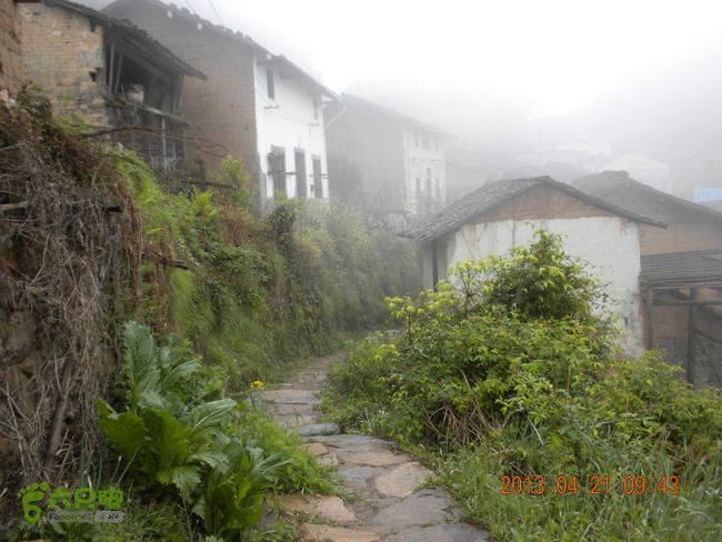 徽开古道（岭上-白际-严池-泰夏）徒步航迹严池村