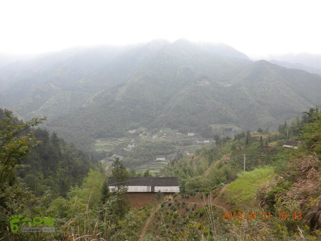 徽开古道（岭上-白际-严池-泰夏）徒步航迹远眺项山村
