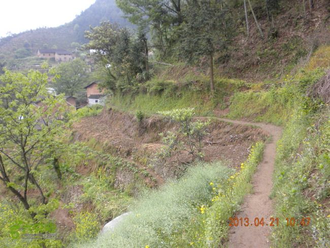 徽开古道（岭上-白际-严池-泰夏）徒步航迹项山村