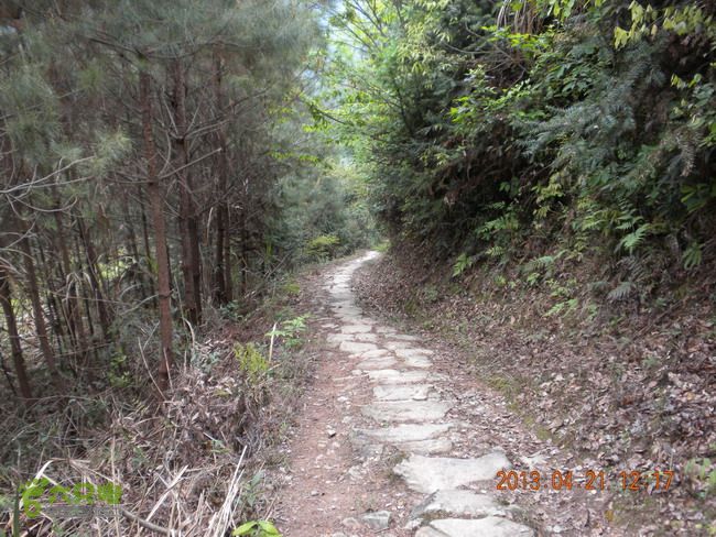徽开古道（岭上-白际-严池-泰夏）徒步航迹SCN3662