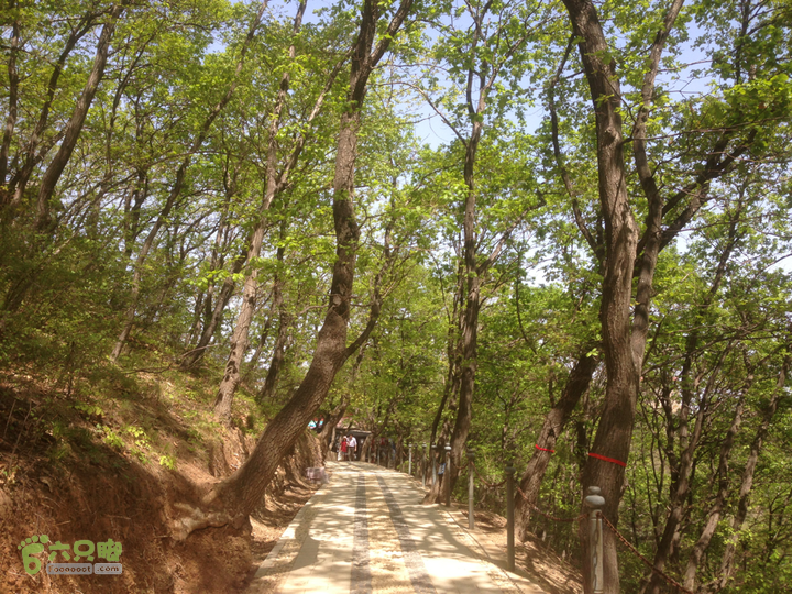 永济五老峰徒步2013-04-26 11:05:20
